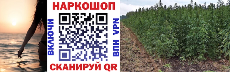 Как найти наркотики Мончегорск Кокаин А ПВП Канабис ГЕРОИН МЕФ