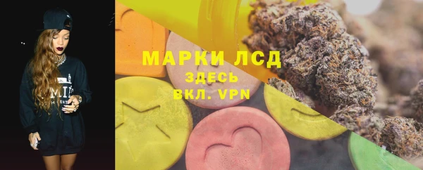 прущие грибы Волосово