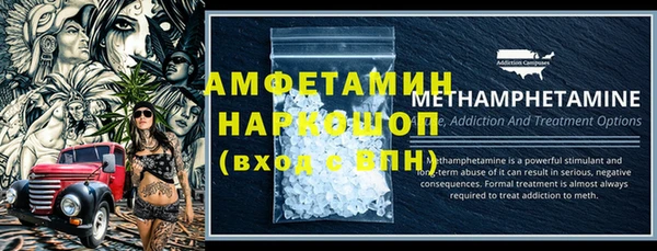 прущие грибы Волосово