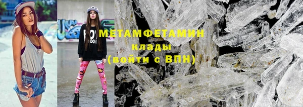 прущие грибы Волосово